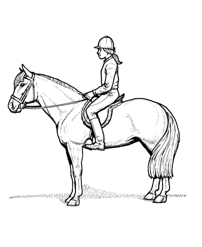 Animal Coloring Pages - Horse and Rider