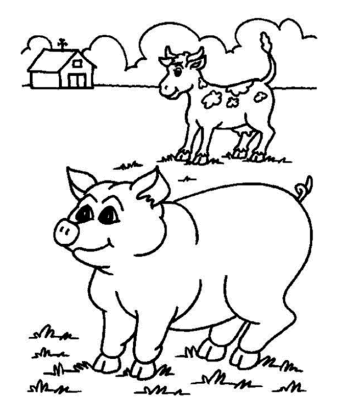 Animal Coloring Pages - Pig 