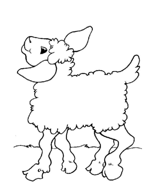 Animal Coloring Pages - Sheep 