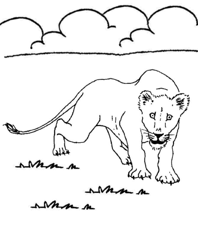 Animal Coloring Pages - Lion