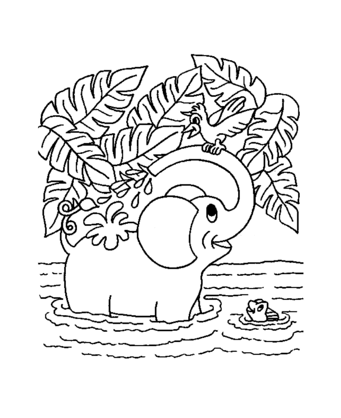 Animal Coloring Pages - Elephant 
